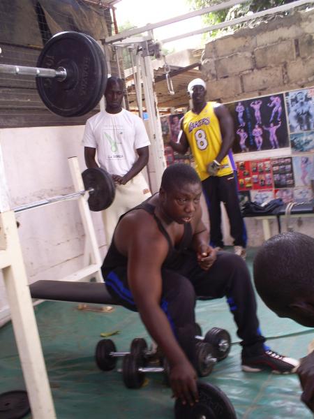 tapha sarr